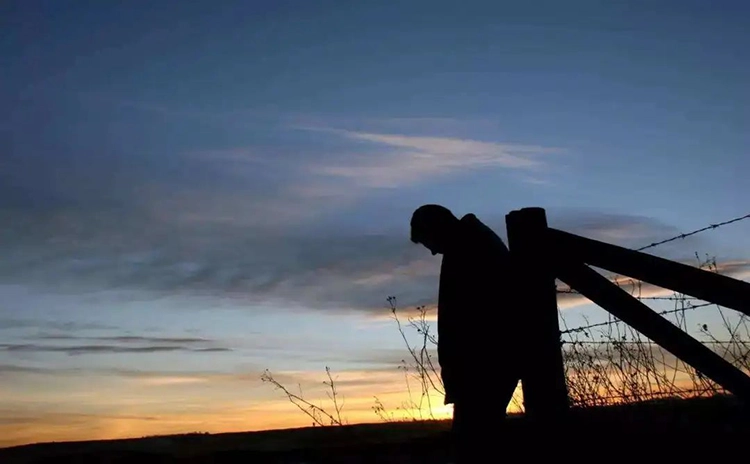 He is leaning against a wooden stake in the sunset