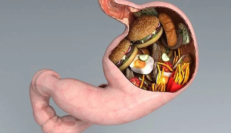 The stomach that overeats can no longer hold anything.