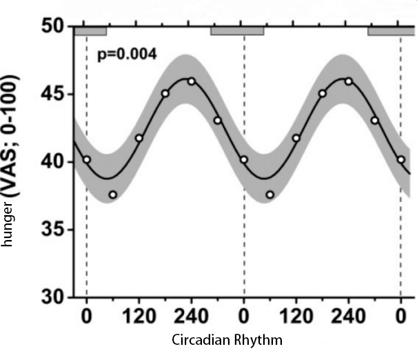 (Hunger peaks at 8 PM and peaks at 8 am. [1])