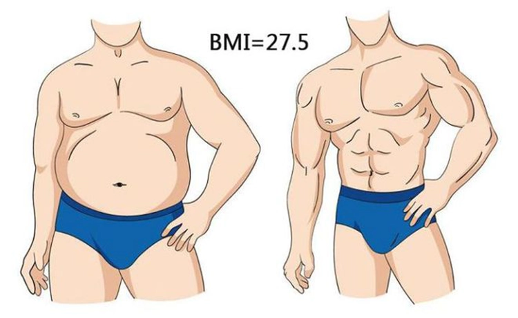 BMI=27.5 body fat percentage comparison.