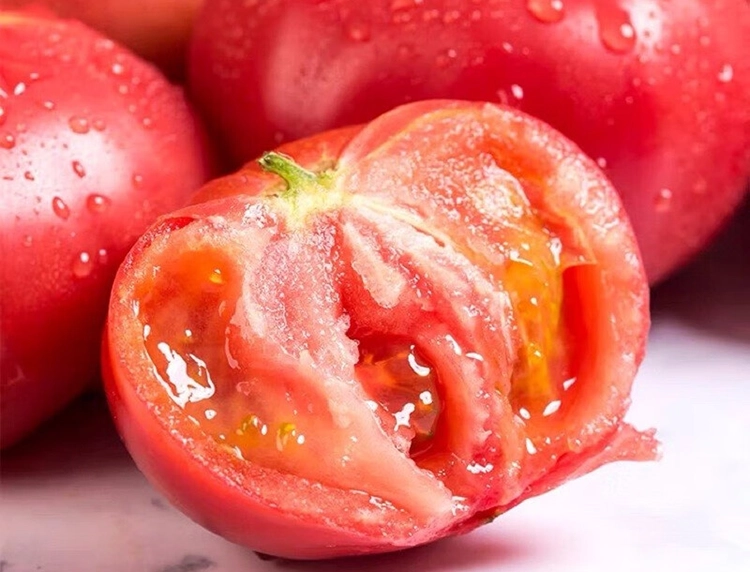 The cut tomatoes are plump and juicy.