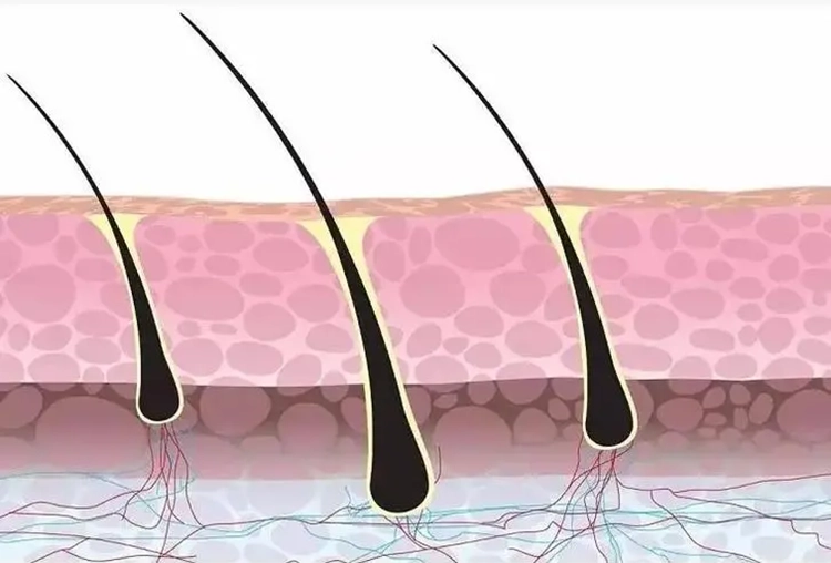 Analysis of hair and skin from the side.