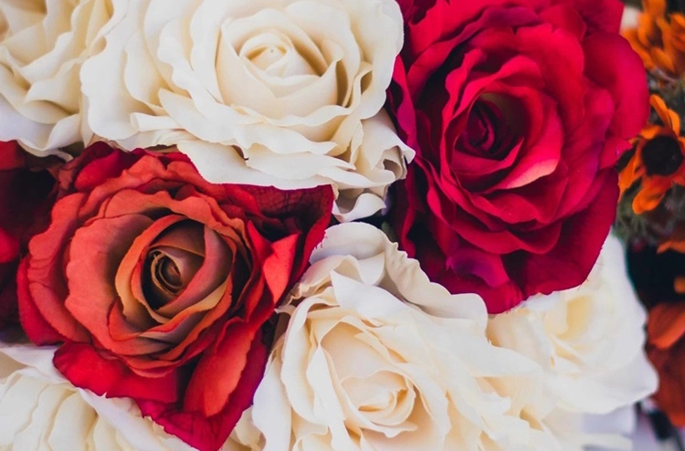 Red roses and white roses.