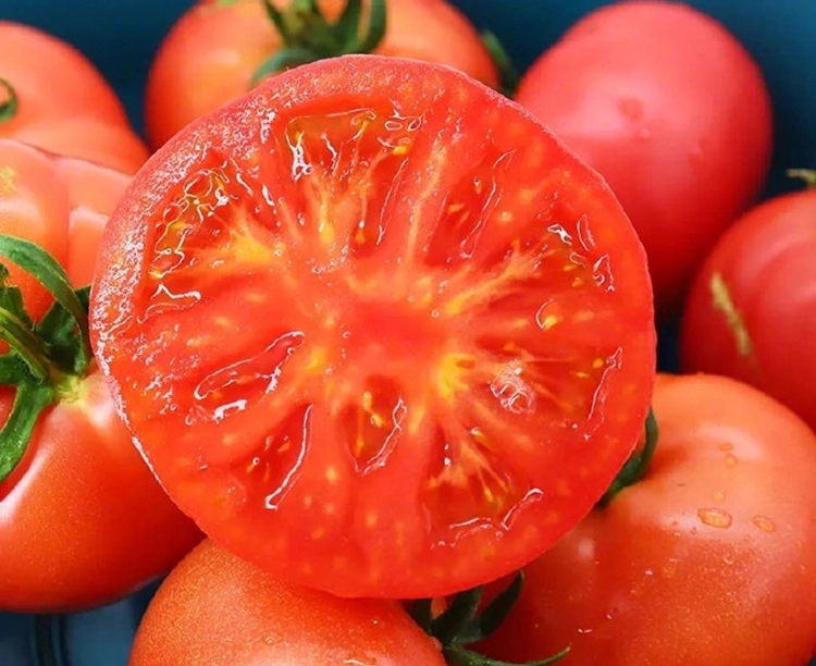 Plump and juicy tomatoes.