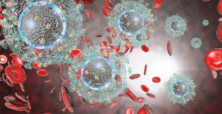 Red blood cells and HIV in blood.