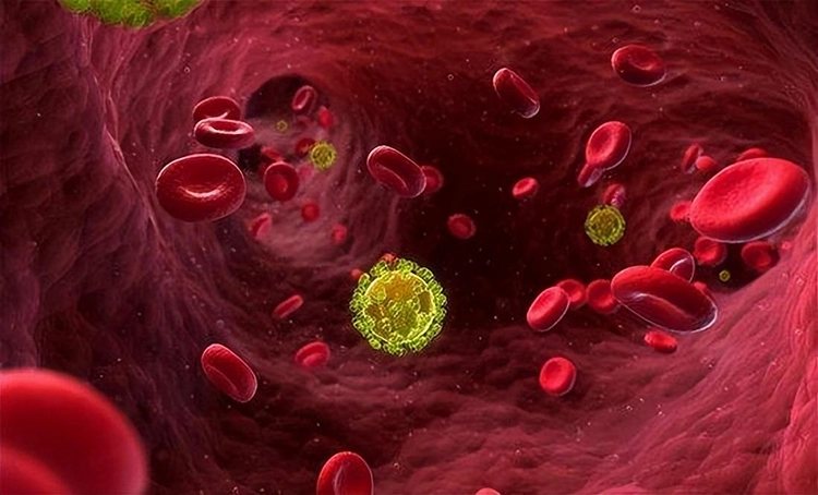 Sexually transmitted disease viruses flow in the blood.